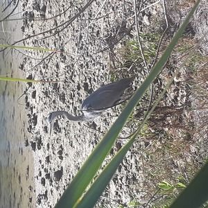 Meet your Posher, Irina